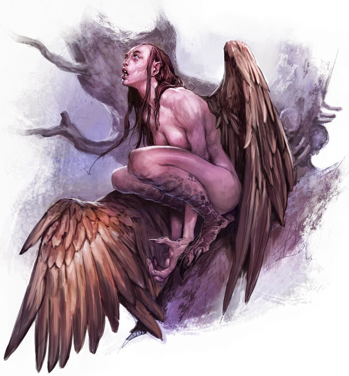 image-1792429020101-290512.png